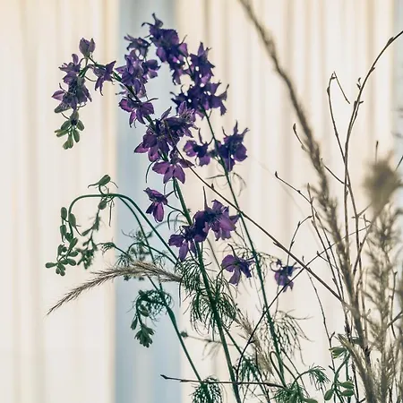 Elegant Boutique Living 45M2 W Iconic Sunset Views * Amesterdão