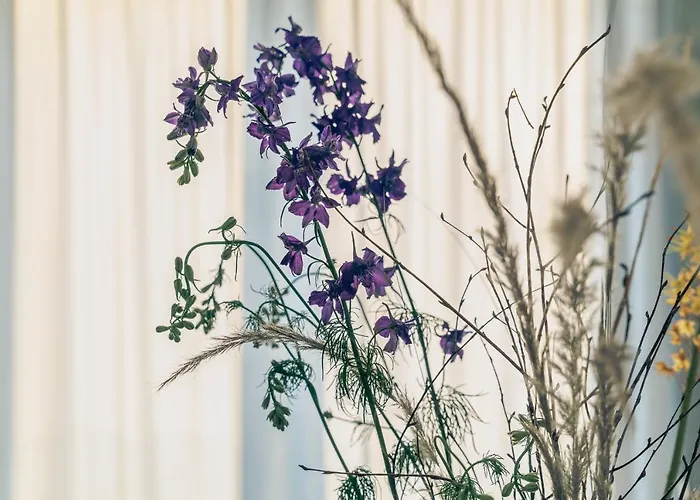 Elegant Boutique Apartment 45M2 W Amazing Views * Amsterdam